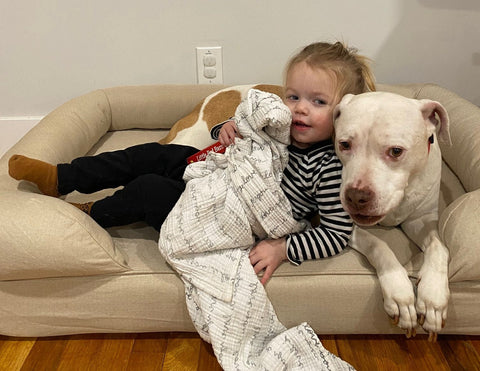 Yoobi team member's daughter having nap time with her fur family member